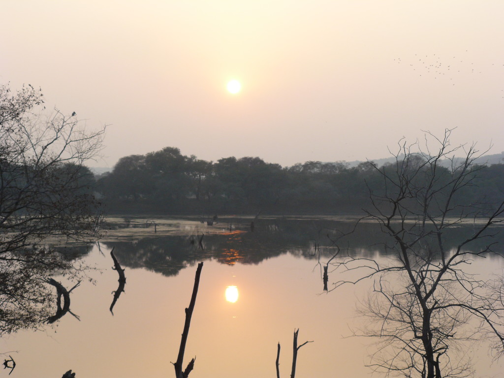 Ranthambore, India