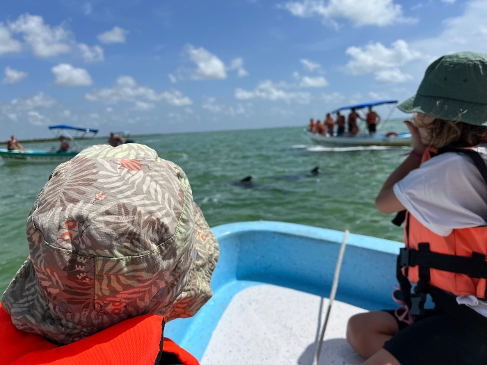 Avvistamento di delfini a Sian Ka'an