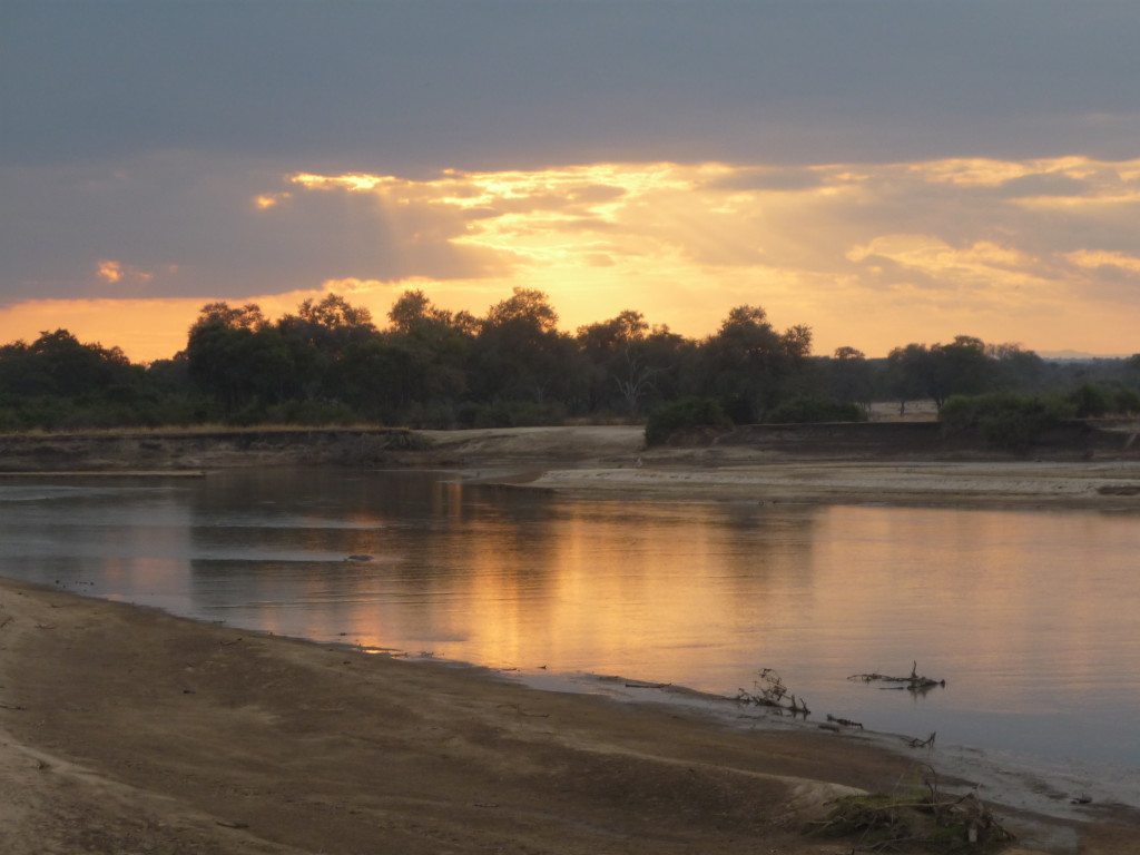 Safari, South Luangwa, Zambia