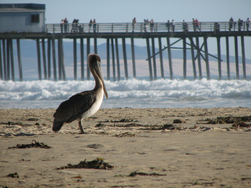 Spiaggia, California
