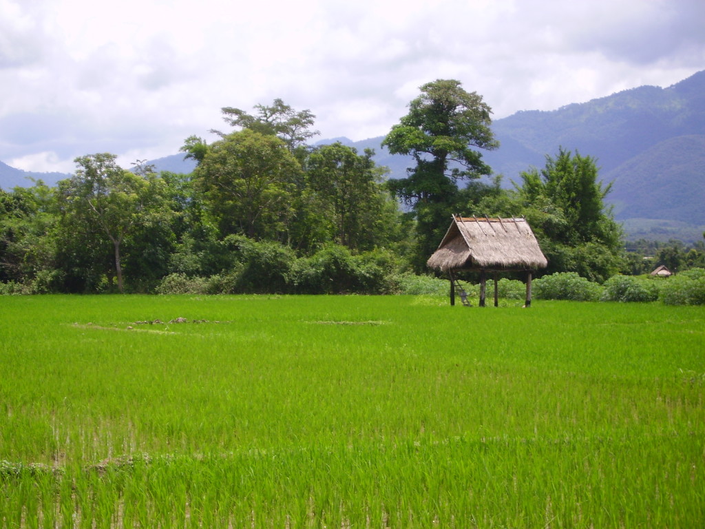 Muang Sing, Laos