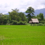 Muang Sing, Laos