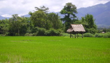 Muang Sing, Laos