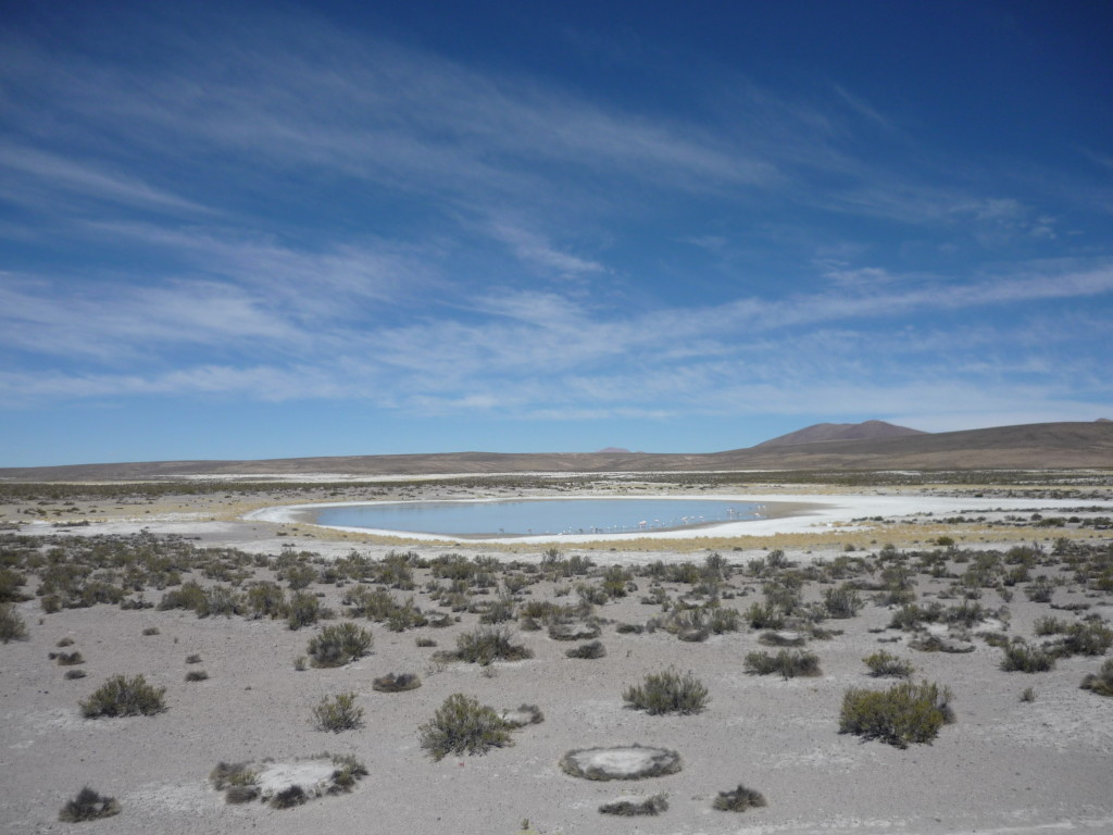 Cile del nord, Lauca