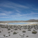 Cile del nord, Lauca