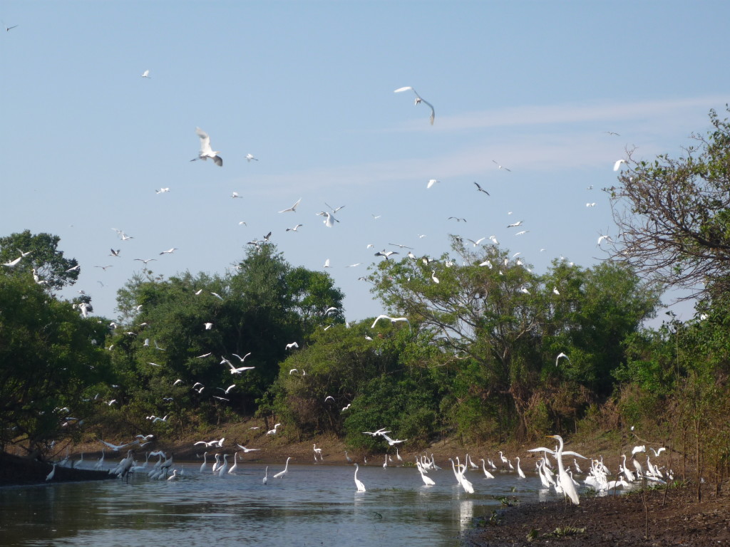 Rurrenabaque, Bolivia