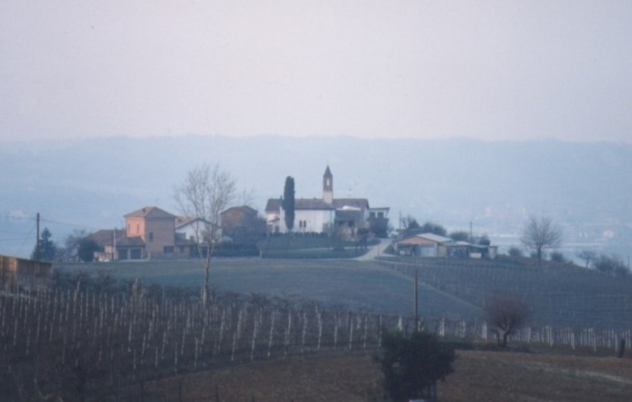 Monferrato, Cantine