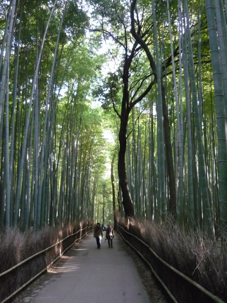 Kyoto, Giappone