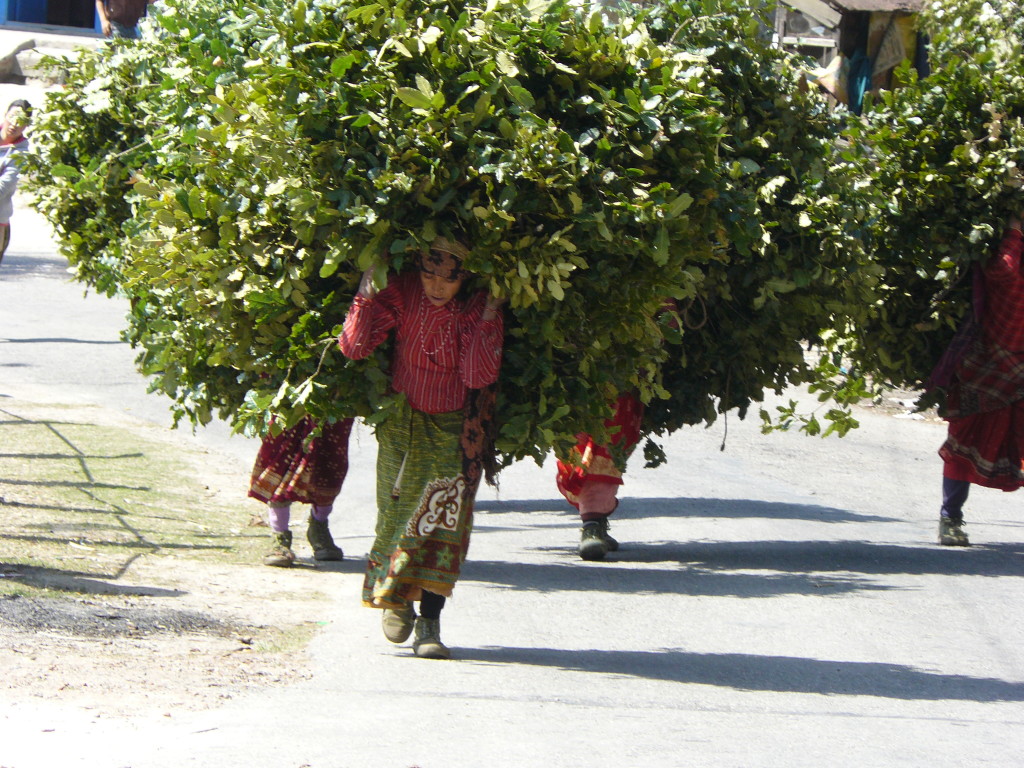 Dakshinkali, Nepal