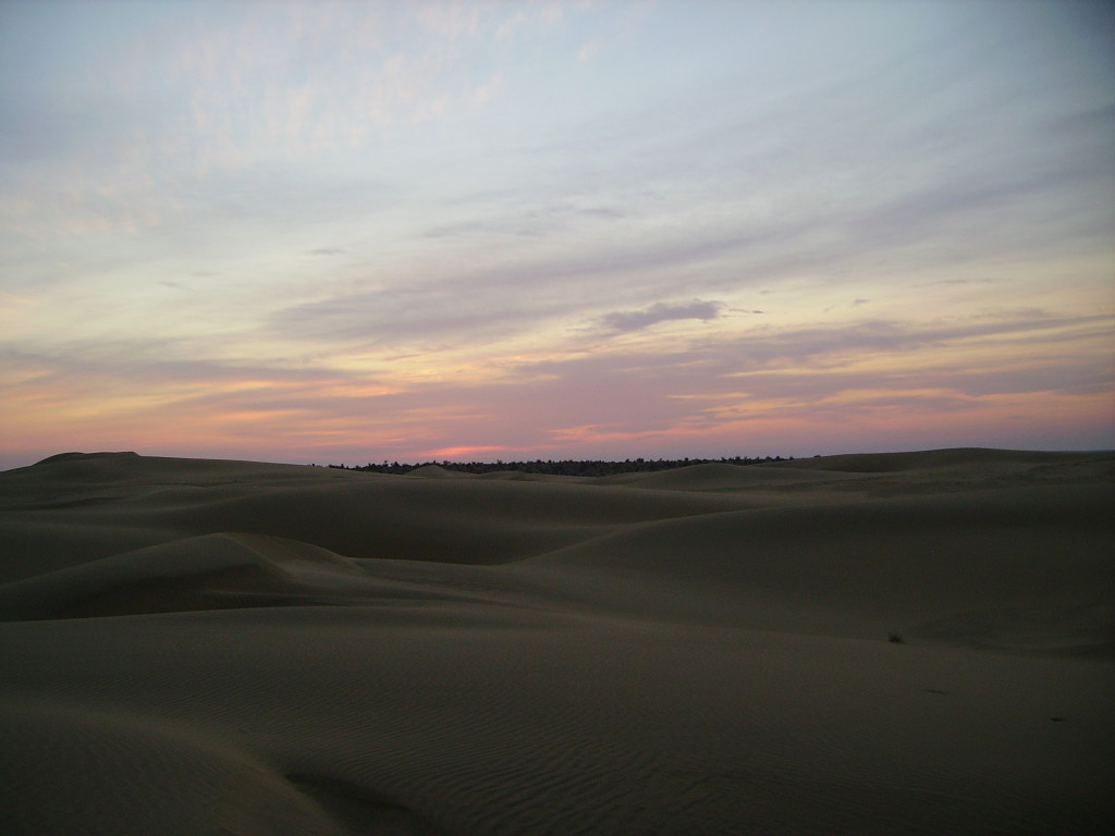 Escursione Cammello, Deserto, Jaisalmer