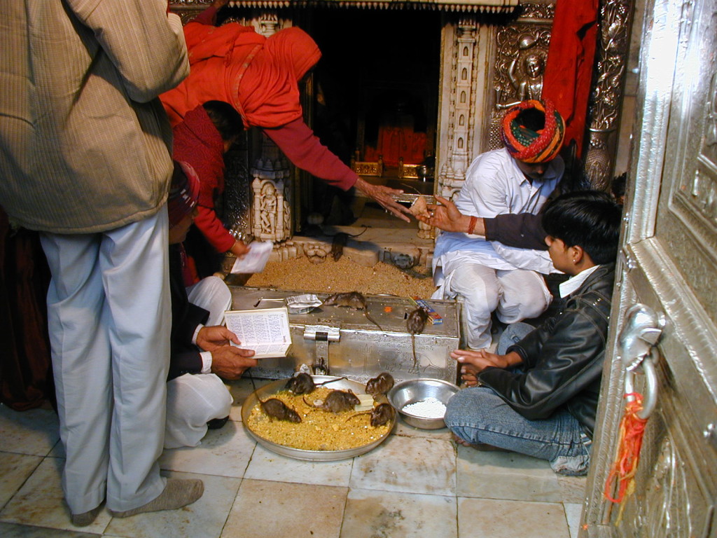 Tempio Topi, Bikaner