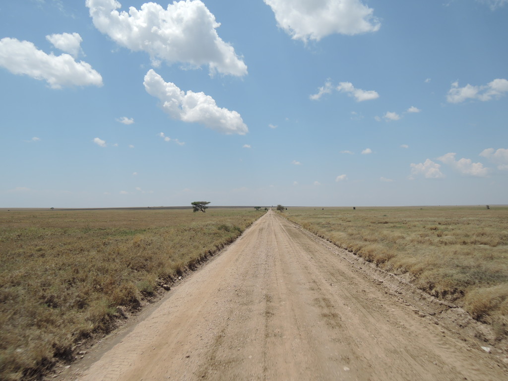 Serengeti, Tanzania, Safari