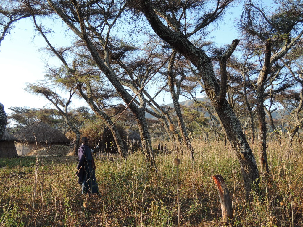 Villaggio Masai, Tanzania