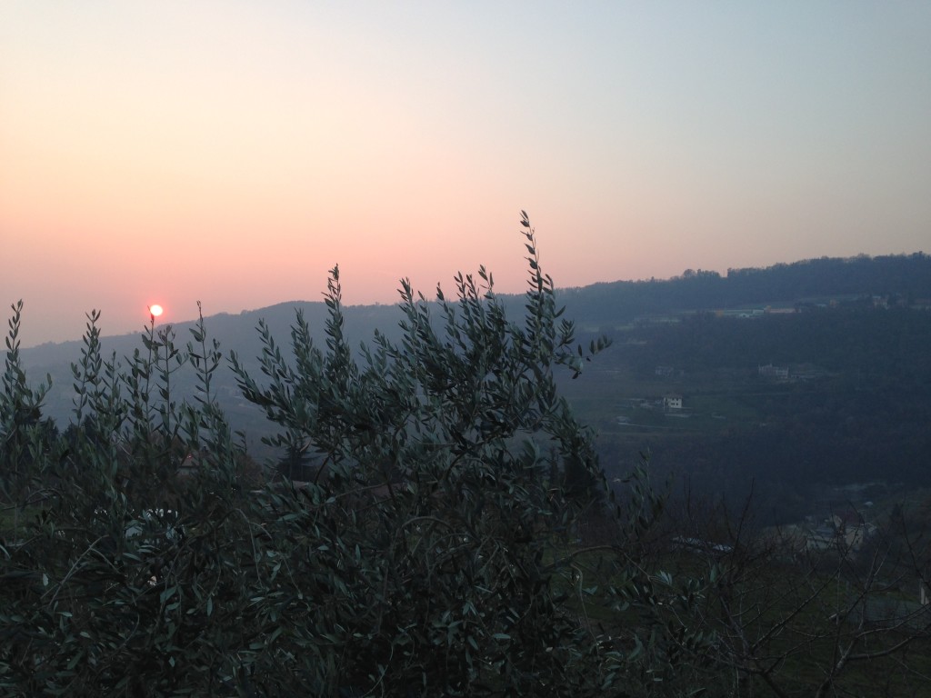 Trattoria alla Ruota, Valpolicella