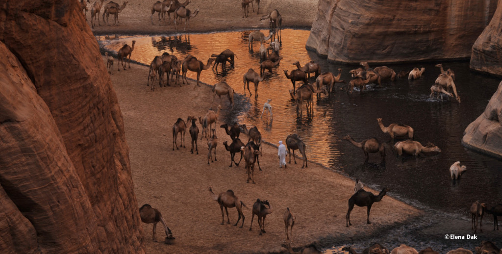 Oasi, Deserto, Niger