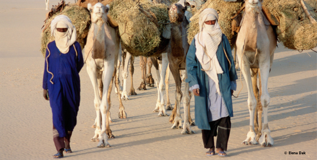 Touareg, Deserto, Niger