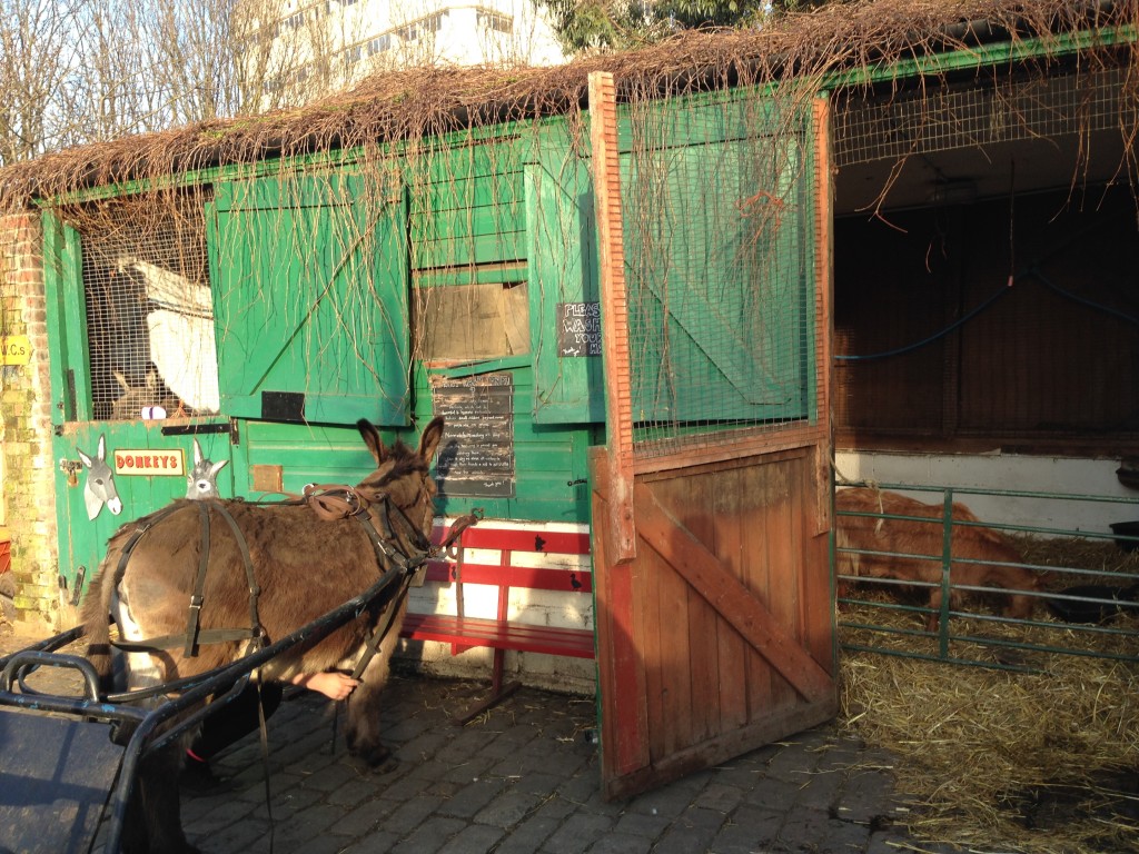 Hackney City Farm, Londra