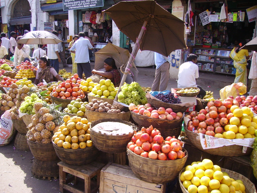 Mysore, Karnataka, India