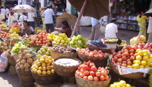 Mysore, Karnataka, India