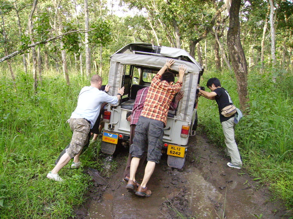 Wayanad Sanctuary, Safari