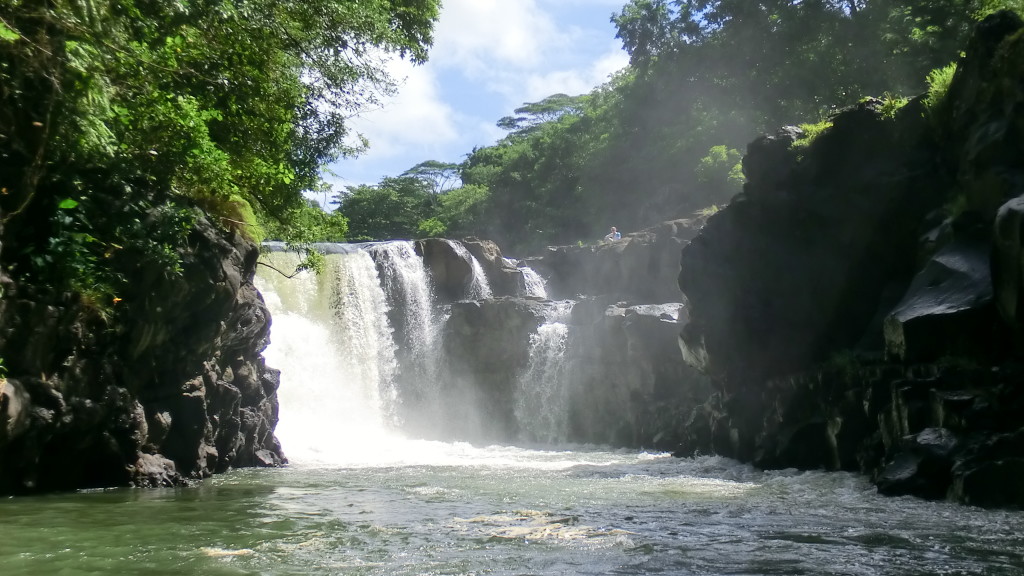 Isola dei cervi, Mauritius