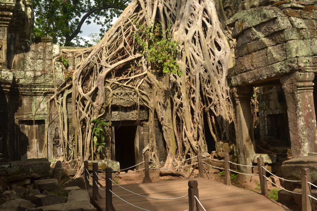 Angkor Wat, Cambogia