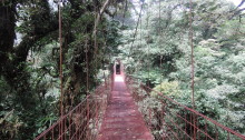 Monteverde, Costarica