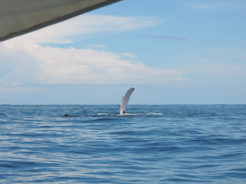 Uvita, Costarica