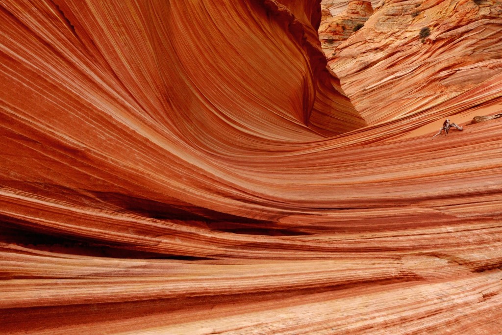 The Wave, Coyote Buttes