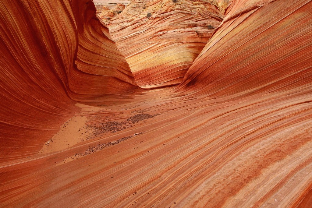 The Wave, Coyote Buttes