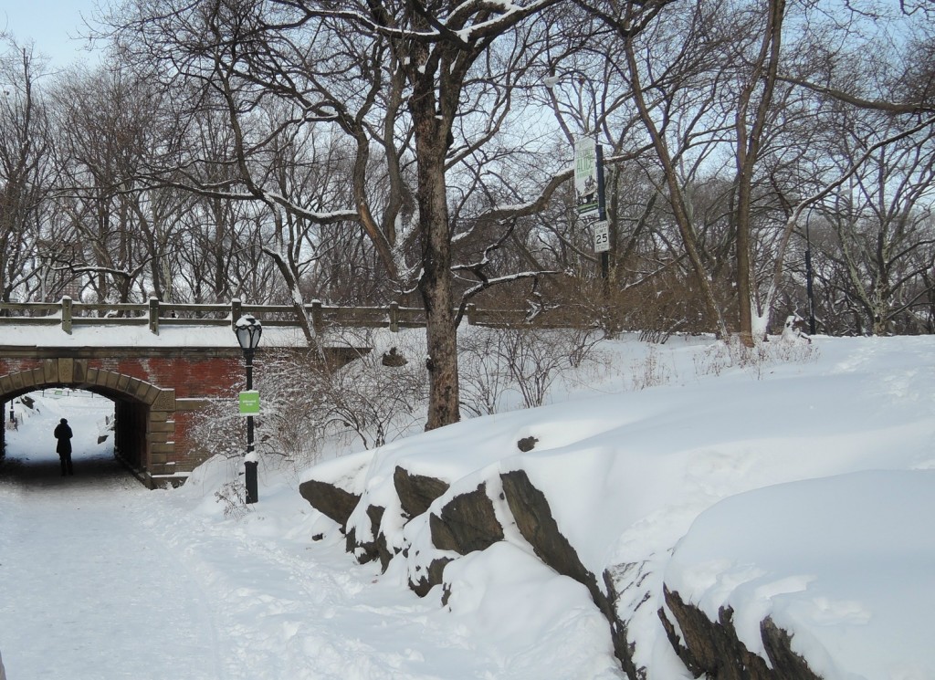 Central Park, New York