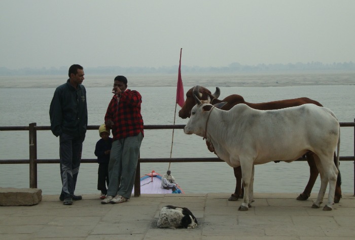 Ghat, Varanasi, Gange