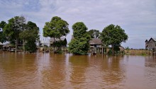 Tonlè Sap, Cambogia