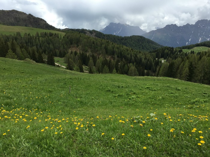 Moena, Val di Fassa