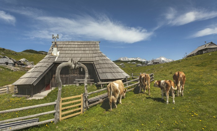 Montagne, Slovenia