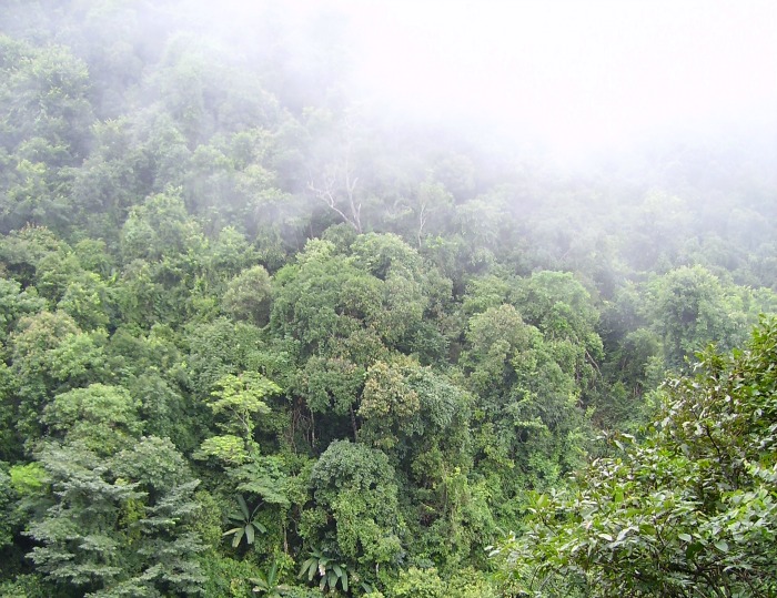 Mueng sing, Laos