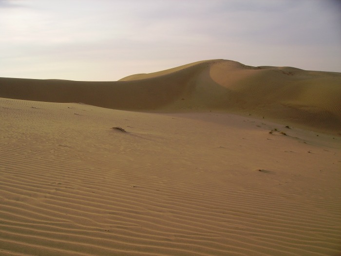 Rajasthan, India