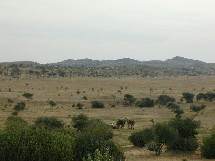 Rajasthan, India