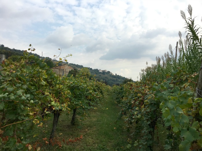 Franciacorta