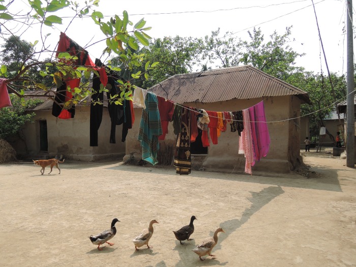 bangladesh, matrimonio