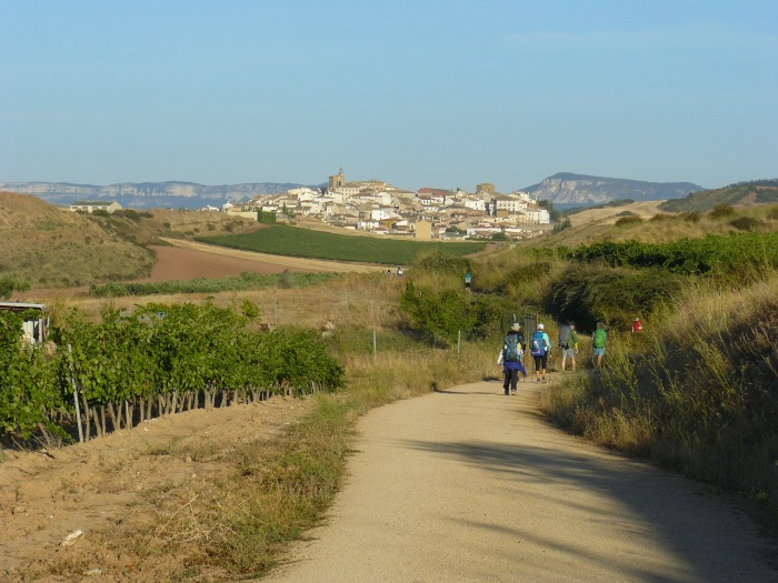 Cammino di Santiago, Compostela