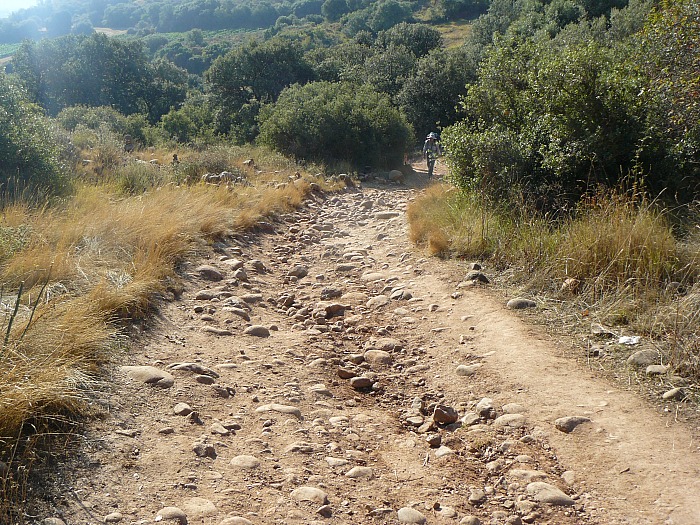 Cammino di Santiago, Spagna