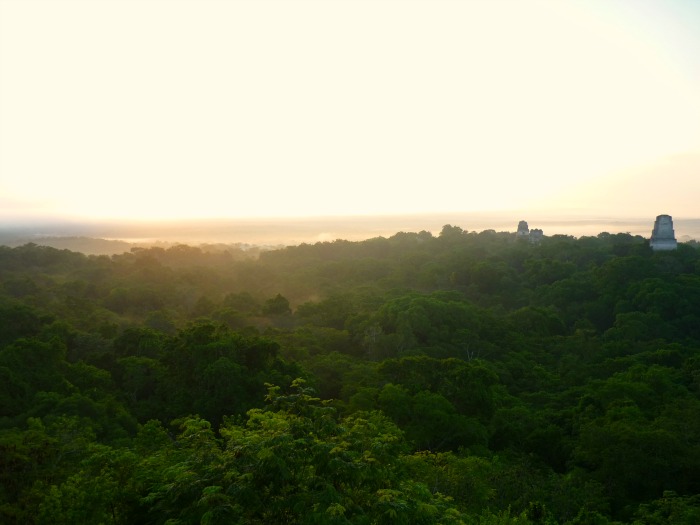 Tikal, Guatemala