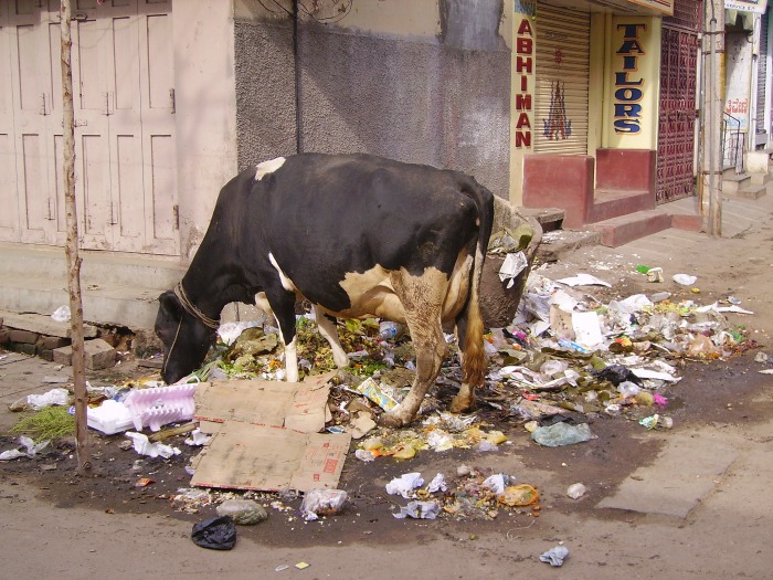 Mysore, India