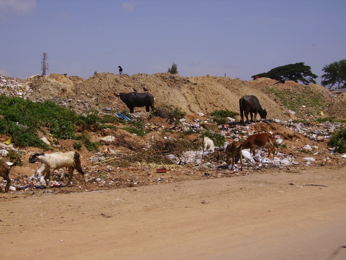 Bangalore, India