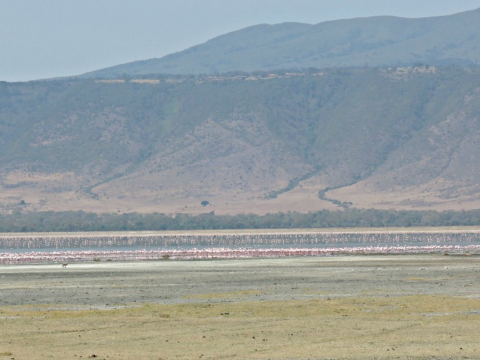 Ngorongoro, Tanzania