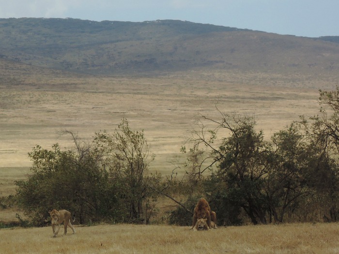 Ngorongoro, Tanzania