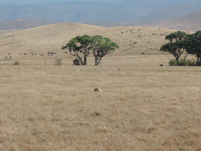 Ngorongoro, Tanzania