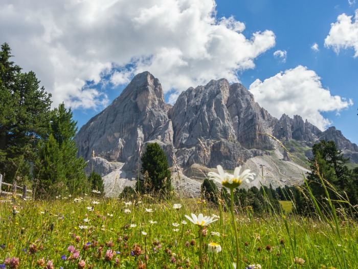 Trentino, Alto Adige