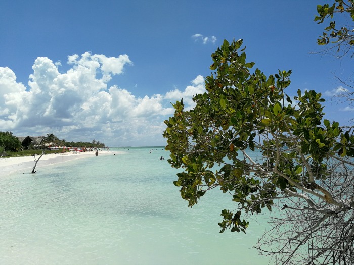 Jutias, Cuba